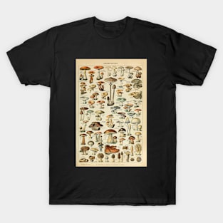 Mushrooms Vintage Botanical Illustration T-Shirt